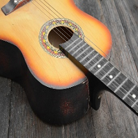 Guitar